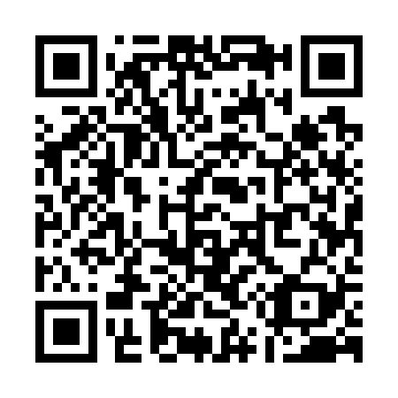 QR code for Q55729
