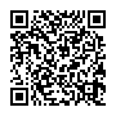 QR code for Q57339
