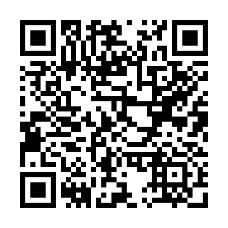 QR code for Q58333