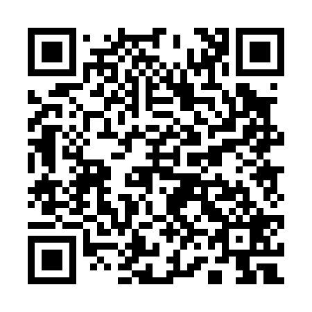 QR code for Q60029
