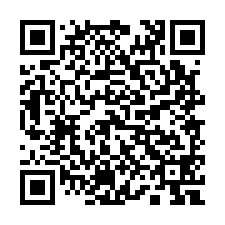 QR code for Q60198
