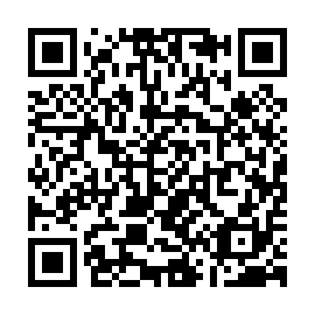 QR code for Q61010