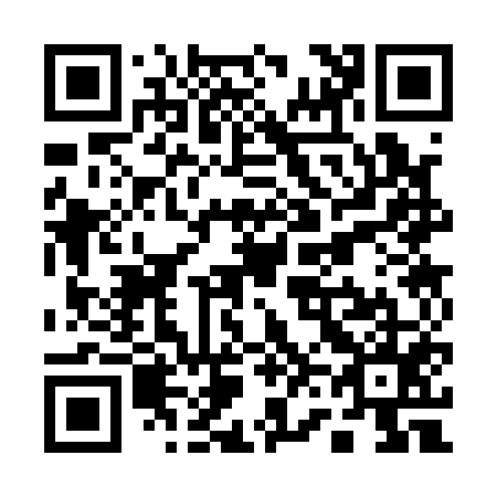QR code for Q63155