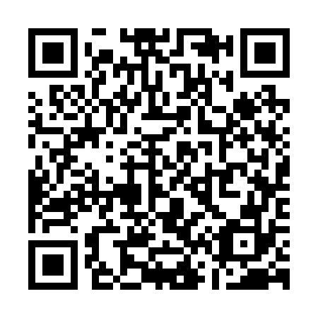 QR code for Q63272