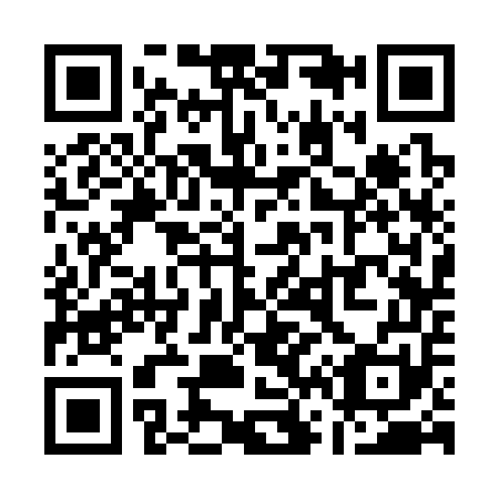 QR code for Q63351