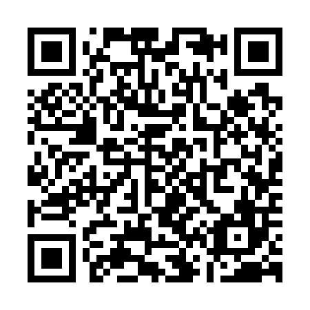 QR code for Q63706