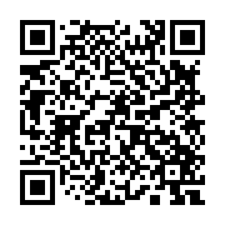 QR code for Q63847
