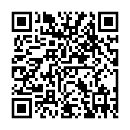 QR code for Q63861