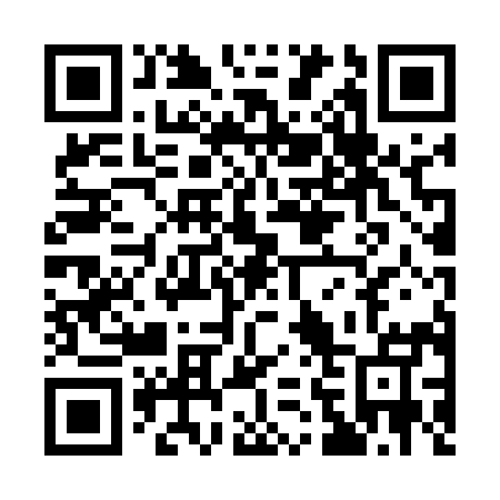 QR code for Q64595