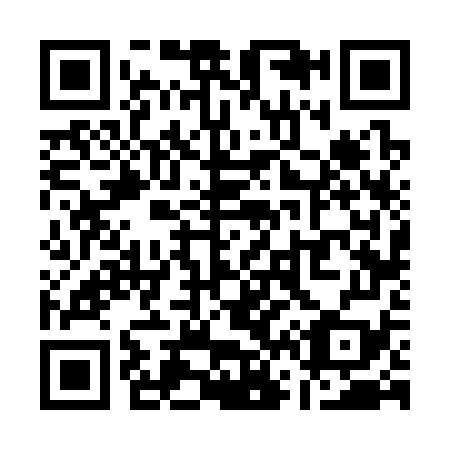 QR code for Q66379