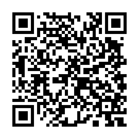 QR code for Q66404