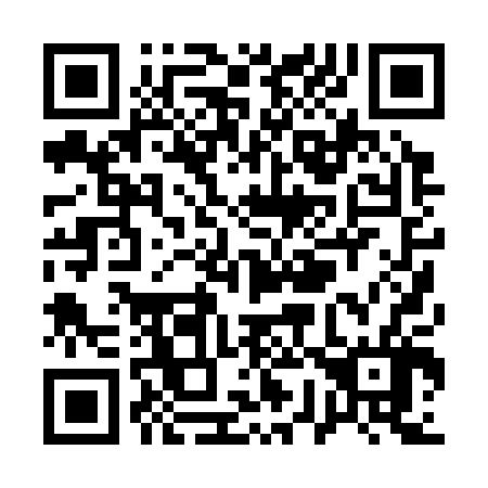 QR code for Q70306
