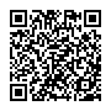 QR code for Q70381