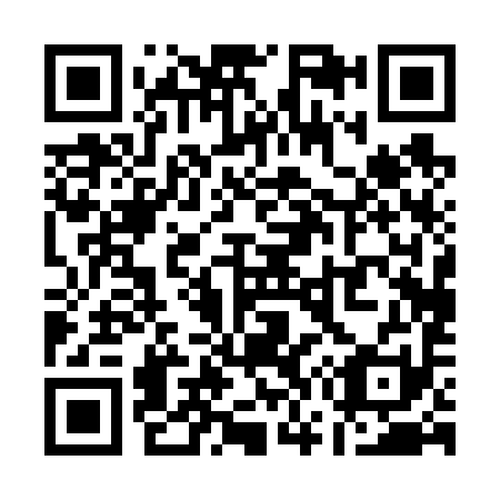 QR code for Q70691