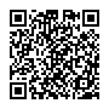 QR code for Q78063