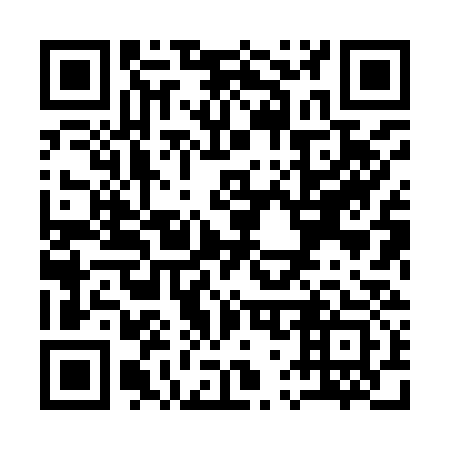 QR code for Q78933