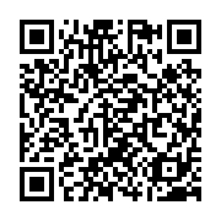 QR code for Q79211