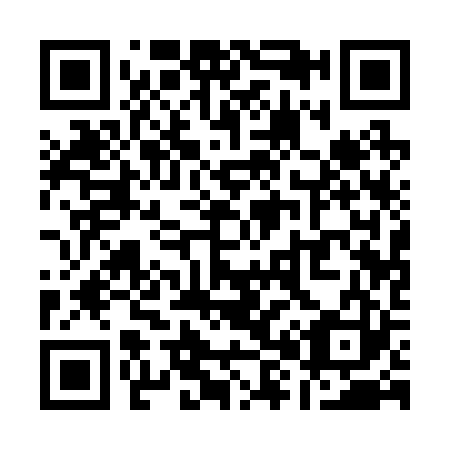 QR code for Q81223