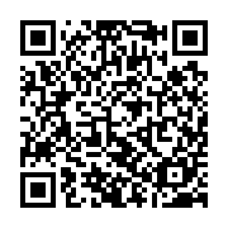 QR code for Q81705