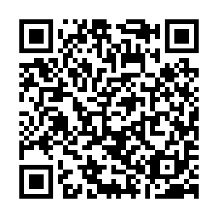 QR code for Q85291