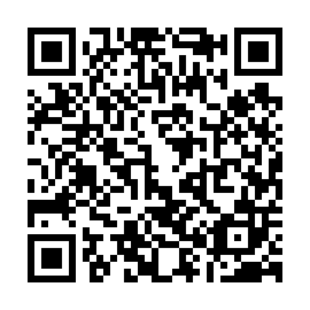 QR code for Q85602