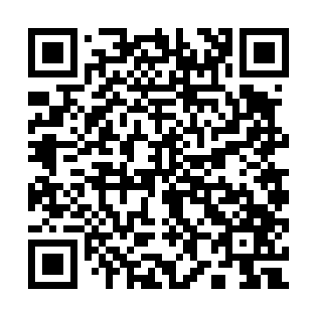 QR code for Q86447