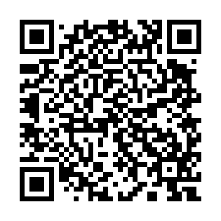 QR code for Q87497