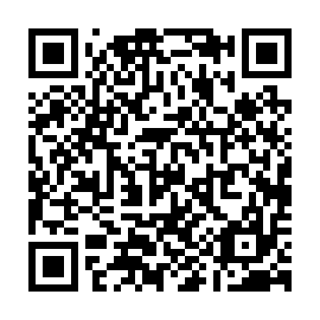 QR code for Q90217