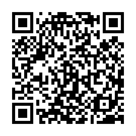 QR code for Q90411