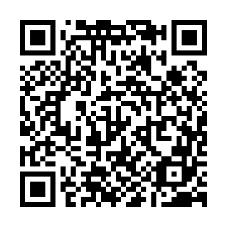 QR code for Q91162