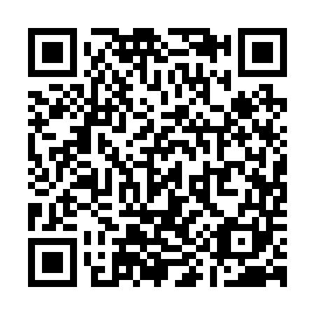 QR code for Q91241