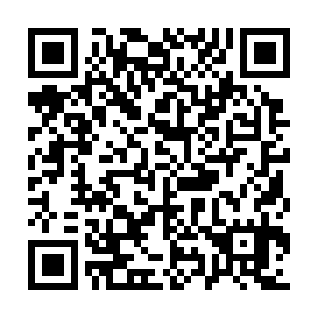 QR code for Q91335