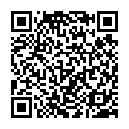 QR code for Q91631