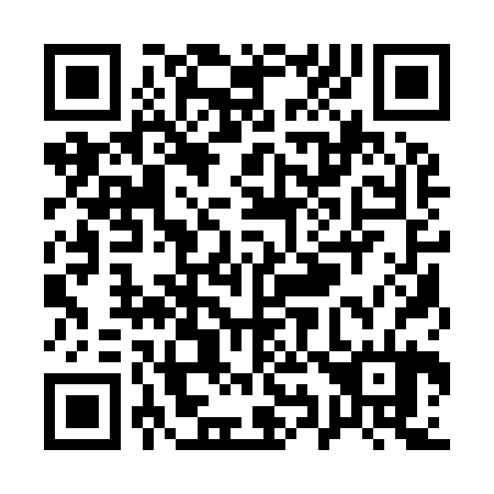 QR code for Q91924