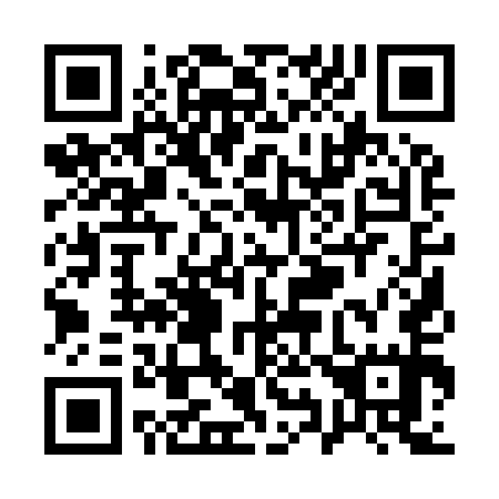 QR code for Q91955