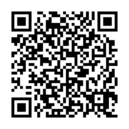 QR code for Q92307