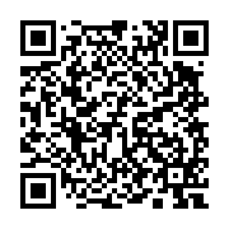 QR code for Q92495