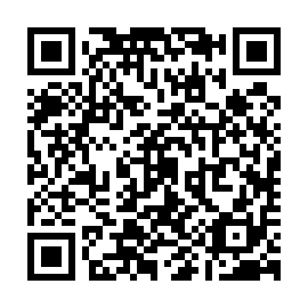 QR code for Q92510