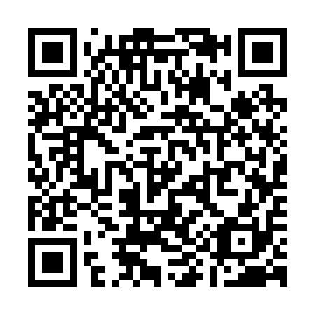 QR code for Q93210