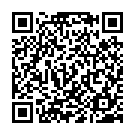 QR code for Q93234