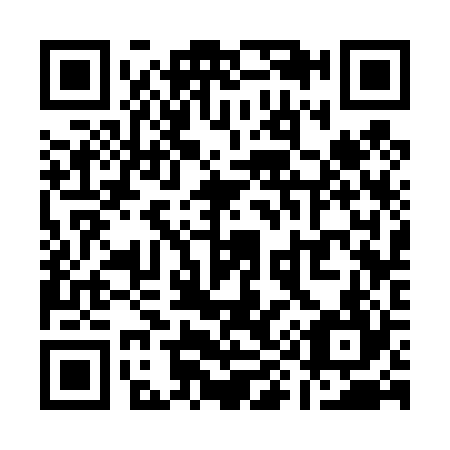 QR code for Q93424