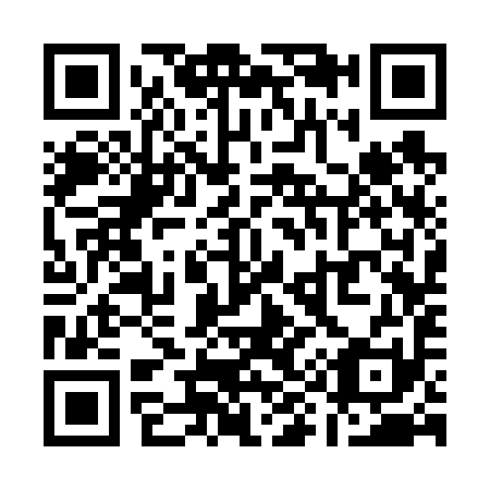 QR code for Q93691