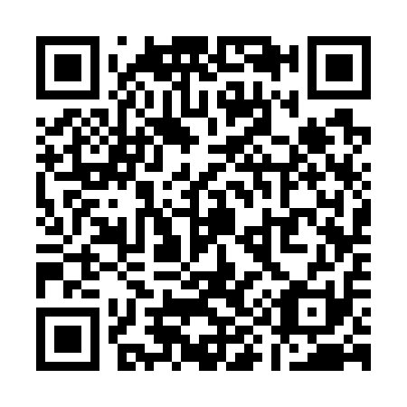 QR code for Q93711