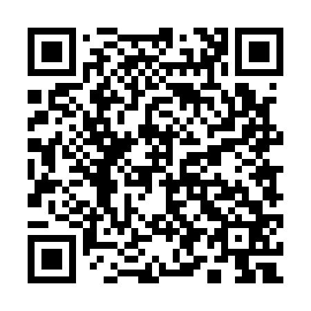 QR code for Q94162