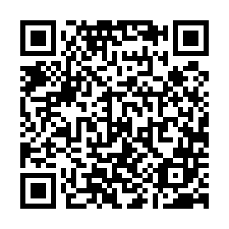 QR code for Q94542