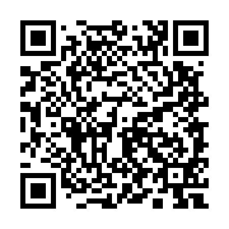 QR code for Q94591