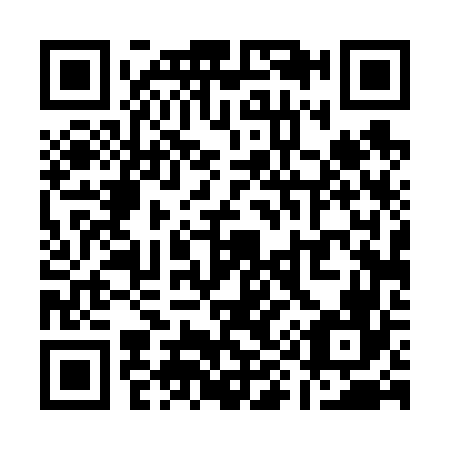 QR code for Q94666