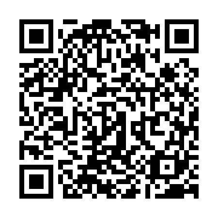 QR code for Q95161