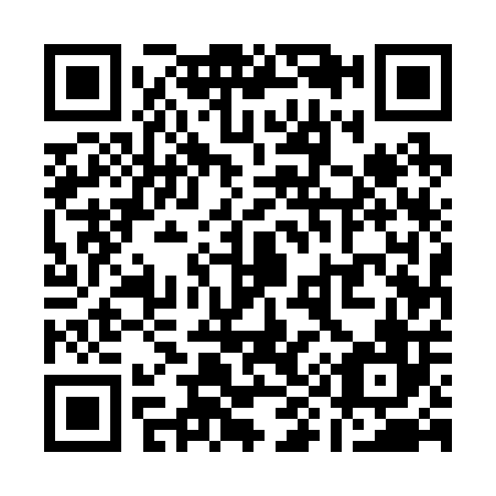 QR code for Q95206