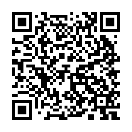 QR code for Q95213